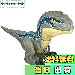 yz}e WVbN[h VȂxz \Ixr[Ex[^ GWY55