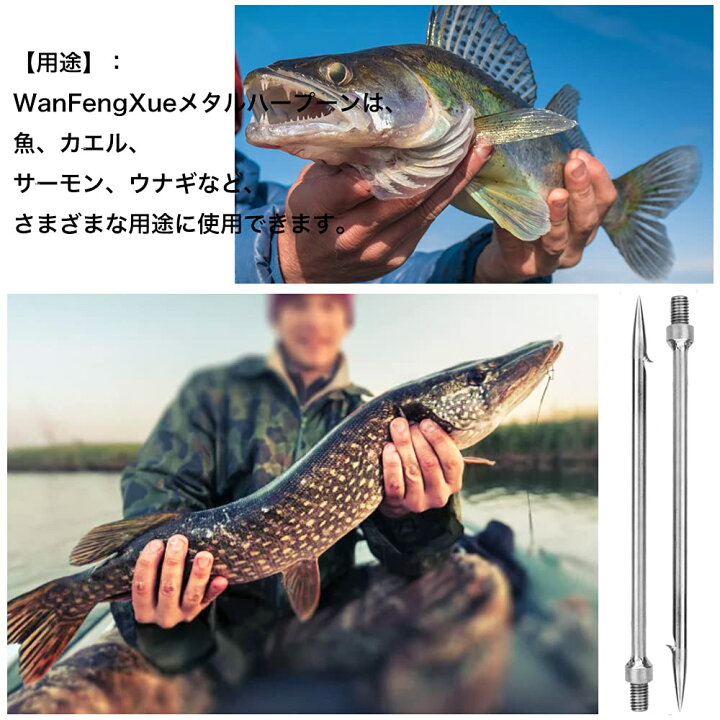 楽天市場】【送料無料】2枚入 銛 WanFengXue ステンレス鋼釣り槍 銛先 