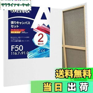 yzAUREUO LoX Zbg F50 (116.7cmX91cm)  ȉ@a 2 S Gp |pGn G p ʉEGEANp