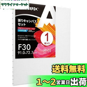 yzAUREUO LoX Zbg F30 (91cmX72.7cm)  S 1 l ̊Gp |pGn G p ʉEGEANpc