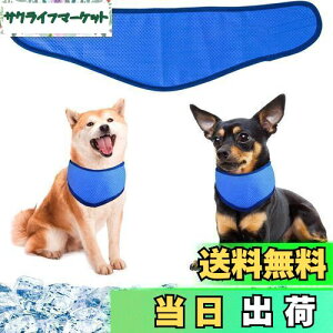 pN[o_i N[lbN p⊴O ybgpp pN[XJ[t p^I ybgp⊴ pXJ[t {[_[ ΍ObY ₷ y ߉\ 