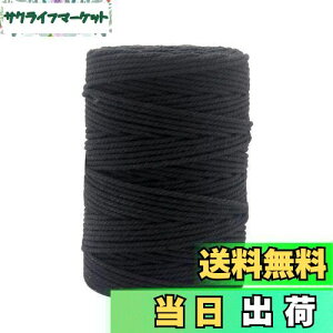 yzTenn Well ȕR, 100M }N[v | Ǌ|  ~͂Ȃǂ (ubN)