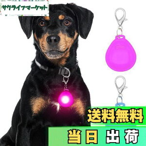 yzDolitego 2 Ԃ̎UppCg - F̍pփCg NbvI^O ԃjOCg ( + sN)