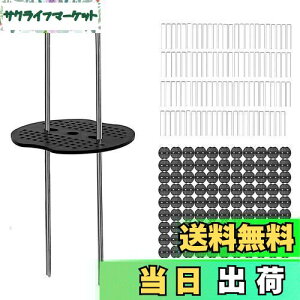 yz100{Zbg UsY ەt lH s us R^s hV[g V[g ƒ؉ |pi | pi (15x3x15)