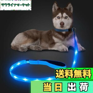 �y���������zCandofly ���ˌ^ LED ���p���[�h - �ÈłŌ��錢�p���[�h USB �[�d���Ɩ��t�����p���[�v�A4 �t�B�[�g�̑ϋv���̂���ϐ����_�Ō��p���[�h�A�y�b�g�̌��̖�̎U���p (��)