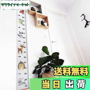 yzq gv 킢 g𑪂 200cm ǂɊ|  ǎ LbY  rO q 2F