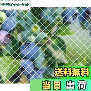 yzh lbg 悯lbg|lbg _Ɨpi ƒ؉lbg c [YANHAIDIDAI]ʎ h JX悯 ObY ʎhbhlbg LEh~΍ lbg