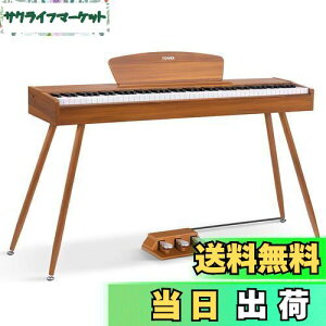 yzDonner dqsAm 88 n}[ANbV 3{y_ X^h A_v^[t { F DDP-80