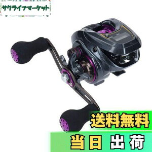 yz_C(DAIWA) LIGHT SW X IC R JE^[txCg[