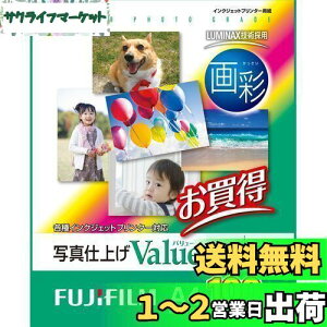 yzFUJIFILM ʐ^p   A4 100 WPA4100VA