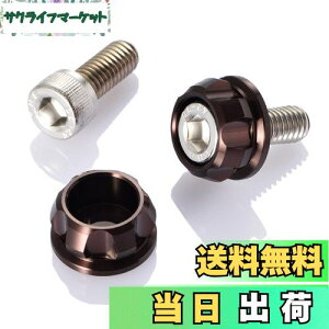 yzfCgi(Daytona) PREMIUM ZONE(v~A][) oCNp io[v[g {g M6×15mm z_[Zbg 2 uY 91954