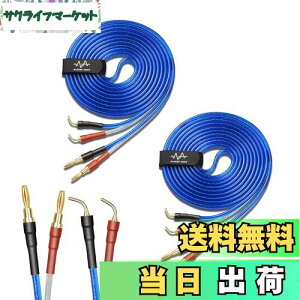 yzyoinz 2{1g LRZbg yoiivOHρz by yWYVERN AUDIOz 24kbL vO Xs[J[ P[u in_ς By WYVERN AUDIO (oiivO̐jvO / 