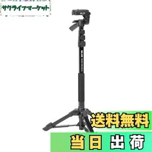 yzSLIK rȈՎOr X^h|bhGX-N 4io[bN 3EFC_ NCbNV[ 217122 ubN