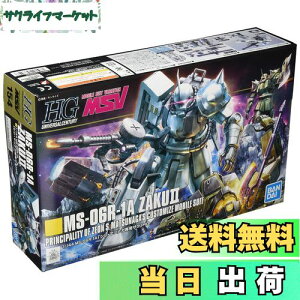 yzHGUC 1/144 MS-06R-1A VE}ciKpUNII (MSV)