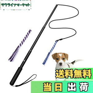 yzpފƂ [v   hM[} Pp p ފƌ^ OߐLkł 2pt 3`5Jɔzς