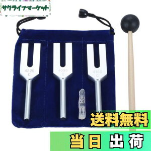 yzDreld Vg̉Zbgi4096HzA4160 HzA4225 Hzj VRn}[ƃ\tgXg[WobOt y Vo[