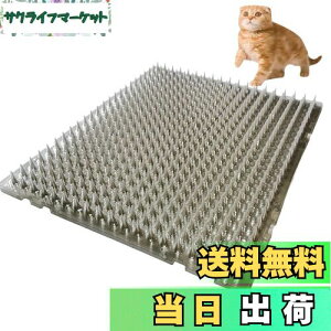 yzONESORA L悯V[g L悯Ƃ}bg  y8z Op LN tQh~