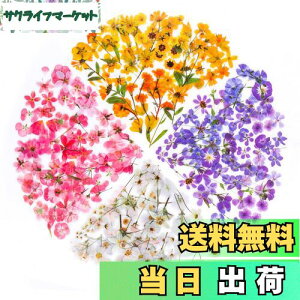 yzYOVOY 164 R[W f V[ ԃV[Zbg t[NV[ XebJ[ e    A 蒠fރXebJ[ KXrƉ