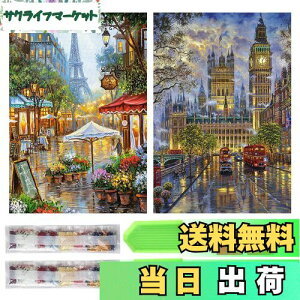 yzTRX _ChA[g Lbg _Ch̊G 2Zbg ꂢ Sʓ\t _ChA[g 5D S l̎q DIY |Lbg Ƃ̕ǂ̑ (Xg[gr