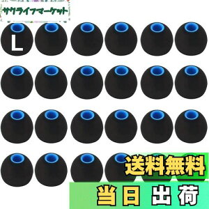 【送料無料】A-Pcas イヤーピース 2種類硬度のシリコンの組み合わせたハイブリッドイヤーピース Lサイズ24個入り 遮音性 重低音強化 Sony用 1000xm5用 1000xm4用 内径ダイヤ約3.8mm〜4.5mmカナル型イ