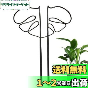 yzGLOWZEN Xe x |x ϗtA AT|[g Ԏx K[fjOx Xet[X^h _Ɨp |p iK A|h~ Œ\ 1()