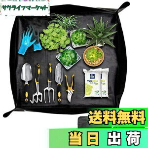 yzSensaBliss |V[g AւV[g 75cm*75cm ` h h~ K[fjOV[g A ̐Aւ y ڐA y}bg cg[ ye  O 