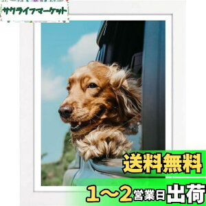 yzLEADINTOP _ChA[g tHgt[ ؐ 30 x 40 cm _ChGp ʐ^ Ǌ|  p fBXvCt[ ʐ^t[ \ |X^[ ܏z  