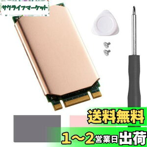 yzHaojiaho M.2 2242 NVME SSDp q[gVN  Mpbht Nvme2242 \bh Xe[g hCu WG[^[ CLbg
