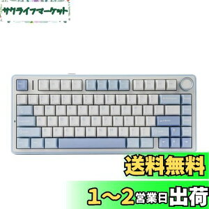 yzEPOMAKER x Aula F75 Q[~OL[{[h KXPbg JjJL[{[h 5wpbhmut 75% CX zbgXbpu Bluetooth/2.4GHz/USB-C RGB ZKF؎擾 (Sea Salt Blue, L