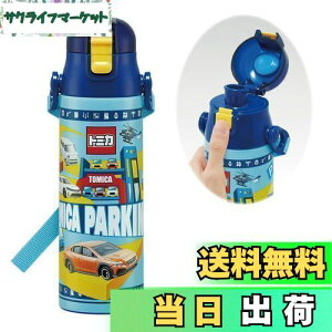 yzXP[^[(Skater) qp XeX   580ml g~J 24 qɗDyʃ^Cv j̎q ۗp waterbottle X|[c{g  LbY q ǂ r SDC6N-A