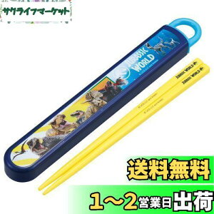 yzXP[^[(Skater) qp  Zbg 16.5cm qp ٓp RۉH j̎q ̎q J₷XCh { WVbN 24 j̎q ABS2AMAG