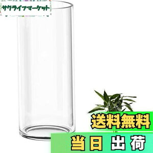 yzDARENYI KX ԕr 傫 35cmt[x[X ~ 傫  ^ ԕr NA Vv  CeA (a12cm 35cm)