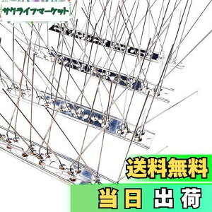 yzONESORA  悯 100%XeX o[hs ϋv y 1mz 悯 XpCN 悯 R LhS JX悯 ̃tQ΍  x_ J[|[g  Ԍ A