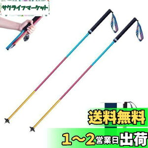 yzTRIWONDER gCjOp|[ 2{Zbg ܂肽ݎ y g|[ gbLO|[ oRXgbN EH[LO|[ mfBbNEH[LO (J