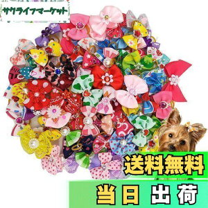 yzKingsie p{ wAoh 20_Zbg ybgp Jt  wAS wAANZT[  A\[g