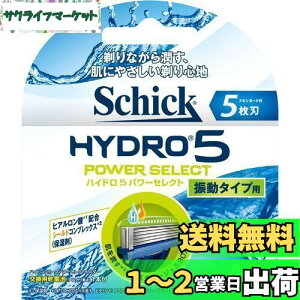 yzVbN Schick 5n nCh5 p[ZNg ֐n (4R) E J~\