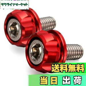 yzfCgi(Daytona) PREMIUM ZONE(v~A][) oCNp io[v[g {g M6×15mm z_[Zbg 2 bh 91945