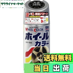 【送料無料】ソフト99(SOFT99) 99工房 補修ペイント ホイールカラー W38 つや消しブラック 300ml Wー38 自動車のアルミ・鉄ホイール及び樹脂製ホイールカバー 07538