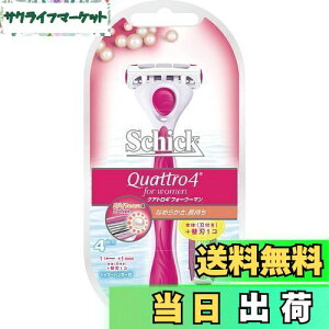 yzSchick(VbN) VbN Schick NAg4tH[E[} z_[ (֐n2Rt) p J~\ ֐n(1R͖{̂ɑς)