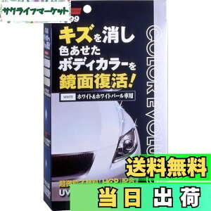 yz\tg99(SOFT99) bNX WAX J[G{[V zCg&zCgp[ ԓhʂ̃LYAیyщop ی܁Ap@NX2ApX|W 005