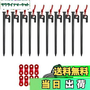 yzYOGOTO X`[yO 20cm10{Zbg LvyO egpyO yOP[Xt ^[vyO dy n np 10mm 1Nԕiۏ [P[X ݋t