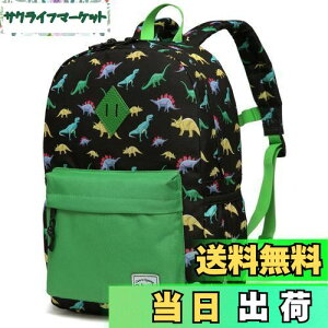 yz[Vaschy] bN LbY, bNTbN q ʊw obO ct ۈ牀 ʉ w j̎q w 킢 