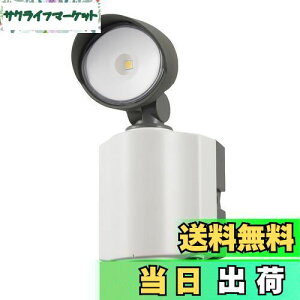 【送料無料】オーム電機 LEDセンサーライト 屋外 防水 1灯 600ルーメン コンセント式 昼白色 セキュリティ 防犯対策 ホワイト(奥行8.9cm/高さ18cm/幅7.8cm)RL165Y1 07-8891 OHM