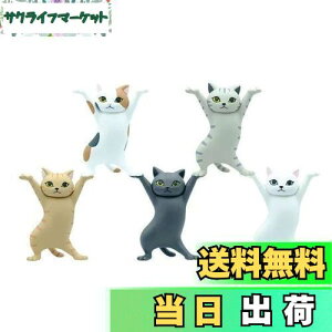 yzMRZJ JKRLyz_[lR̃y S5Zbggyz_[ (5PCS)