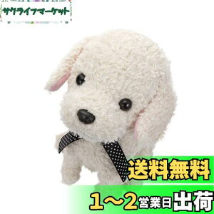 yzZKgCY(SEGA TOYS) RR  N[