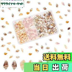 yzPH PandaHall 260 VF Lk Zbg L ~bNX r[`VF fRf r[` ANZT[p[c |pi f   p[eB[  C̓ Ă̑