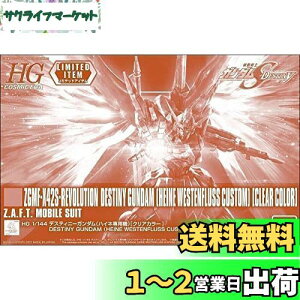 yzo_C(BANDAI) HG 1/144 fXeBj[K_(nClp@)[NAJ[] @mK_SEED DESTINY