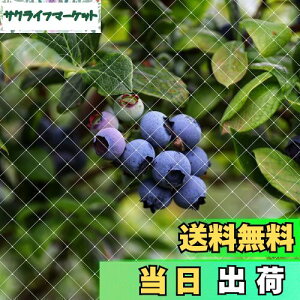 yzOFFO hlbg lbg 2m×c4m 15mmɍזԖ ̓iC ϋv 悯lbg XY΍ u[x[؂Ȃǂ Ȃ̂Ŗڗɂ