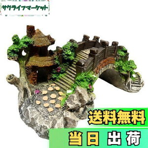 yzCharmoon ANAE  IuWF  A[` B VF^[ A a {뉀 (MTCY)