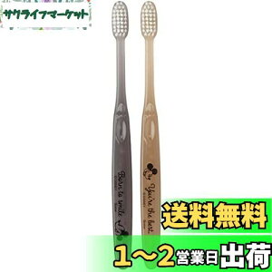 yzXP[^[(Skater) uV 18cm RpNgwbh 2{g ӂ fBYj[ ~bL[}EX 2 TBN1W-A